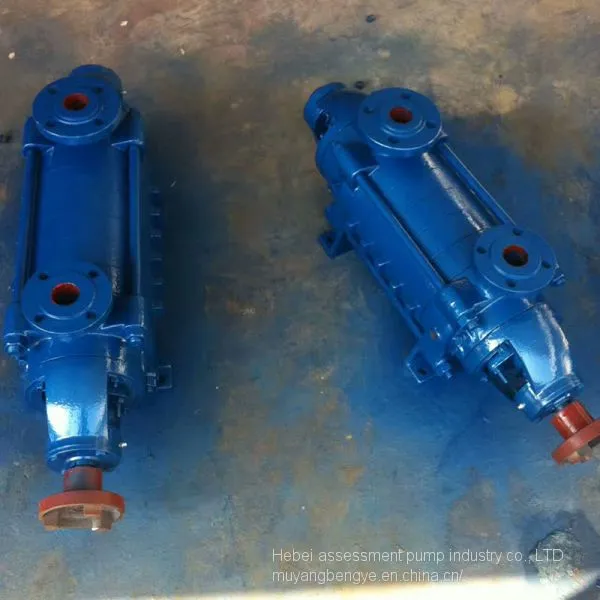 D25-30 by 8 High-lift Pump Multistage Centrifugal Pump for Agricultural Conveying Irrigated With Pump on the Hill photo-3