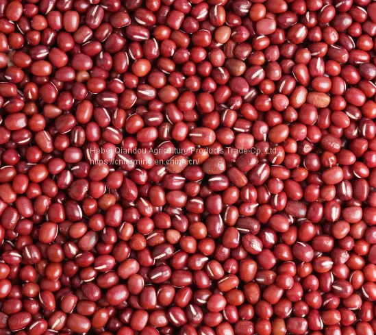 Red Beans photo-5