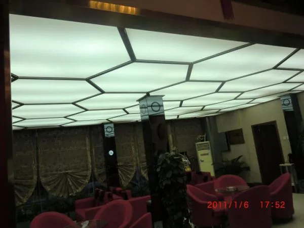 Soft Film Ceiling Applications For Stadium For Indoor Swimming Pools photo-2