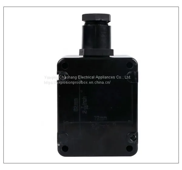 Engineering Plastic Explosion-proof Anti-corrosion Lighting Switch Bzm8050-10a Waterproof Dustproof Explosion-proof Switch AC220 photo-2