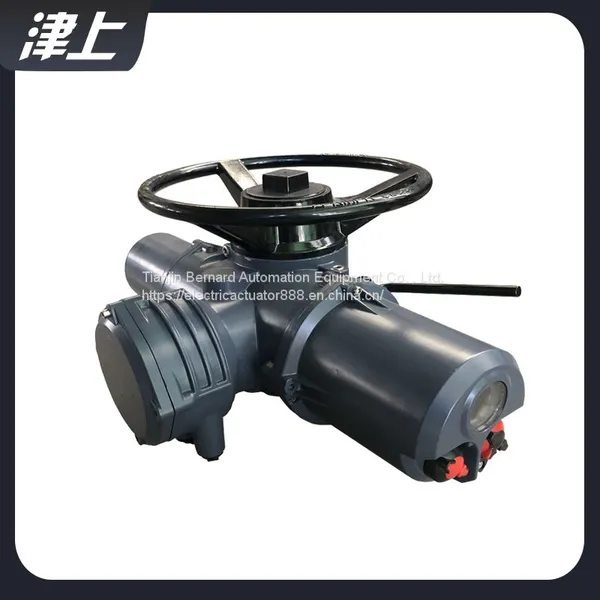 Intelligent Integrated Electric Actuator IQ20 Electronic Electric Actuator photo-2