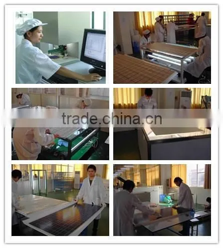 Factory Price High Efficiency Poly 100Watt Solar PV Panel With Excellent Quality Quality Choice photo-4