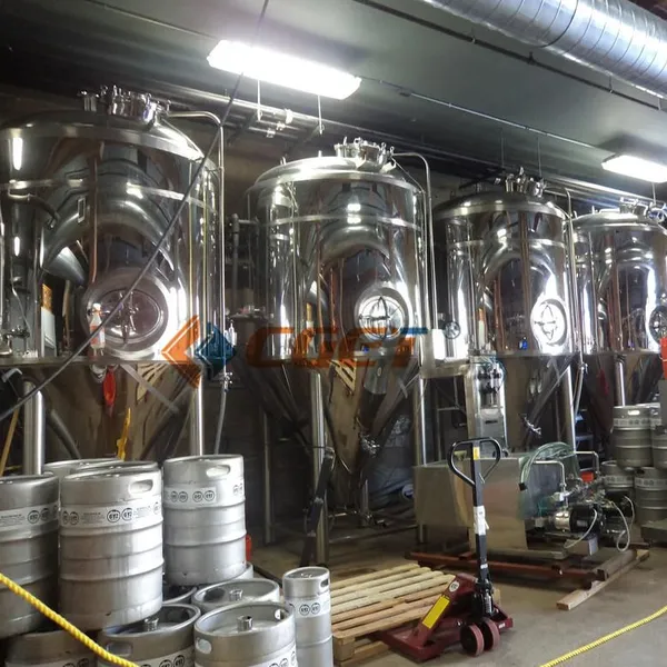 Beer Fermentation Equipment for Microbreweries With Variable Capacity photo-5