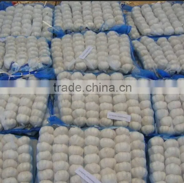 White Garlic,pure White Garlic photo-2