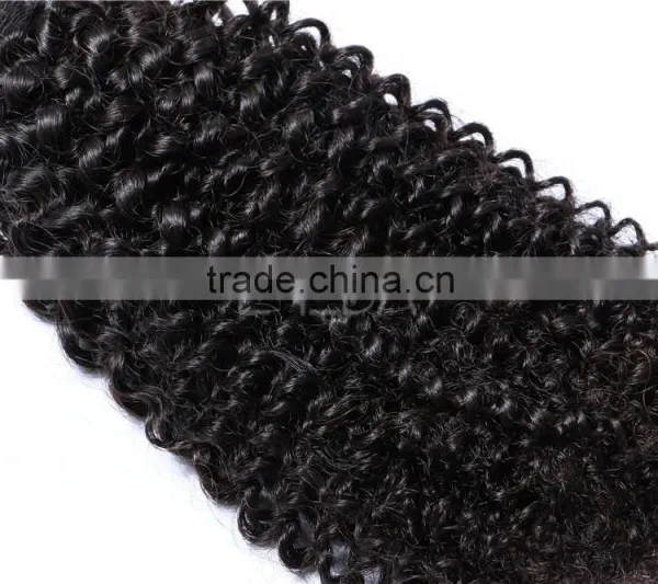 4A Grade Mongolian Afro Kinky Curly Human Hair Weave, Tight Kinky Curly Weave photo-2