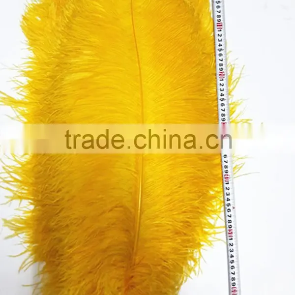 High Quality Real Natural Ostrich Feathers, Decorative Feathers Wholesale photo-5