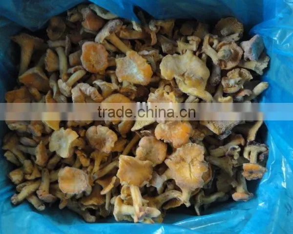 Frozen Style Chinese Chantarelle Mushroom photo-2