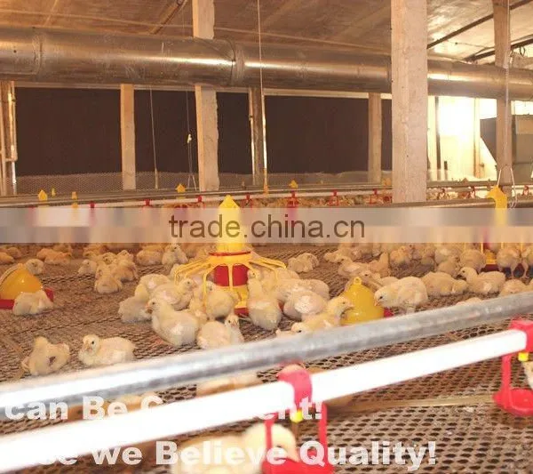 Hot Sale Birdsitter Hot Dip Galvanized Chicken Farming Poultry Feeding System photo-2