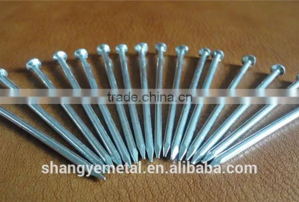 Building Common Wire Nail Made in China