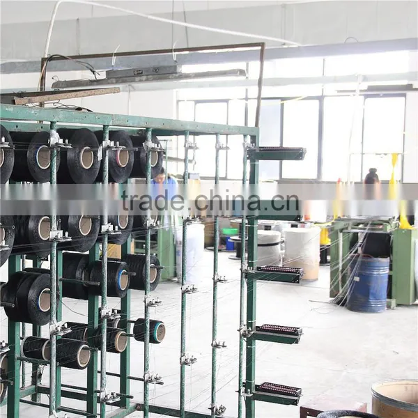 Factory Direct Sale Custom High Quality PP Webbing photo-4