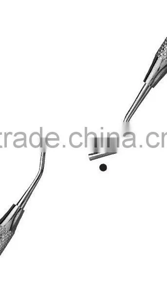 Liscio Quality Detnal Plastic Filling InstrumentsNR.3L photo-4