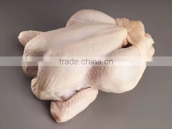Frozen Chicken