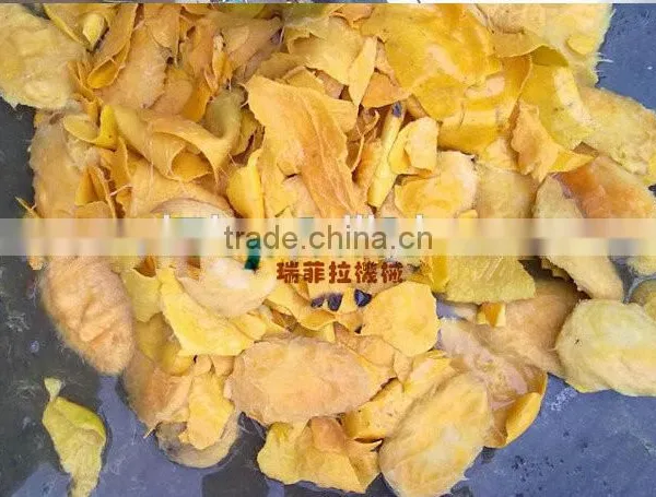 Stainless Steel Mango Pulper and Beater Machine photo-5