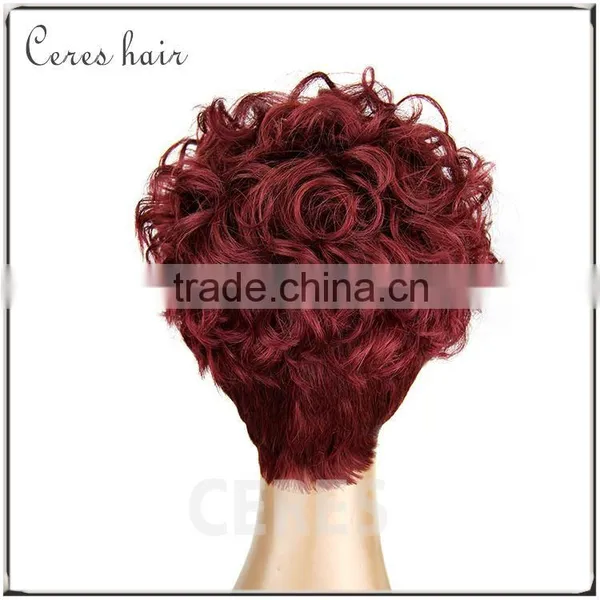 Short Cosplay Wig Lace Wig Human Hair for Christmas or Halloween Party Wig photo-3