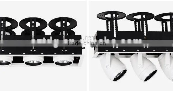 Beam Angle 15 Degree 25 Degree COB Spot Ligt 15w 20w 40w 60w One/Two/Three Heads(TongDa) photo-6