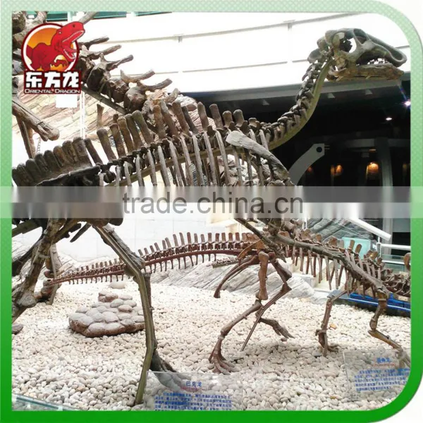 The Dinosaur Skeleton for Sale