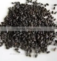 CHIA SEED photo-6
