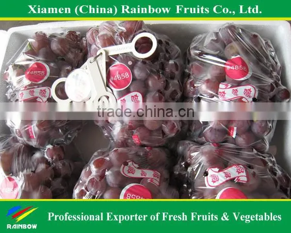 Fresh Red Globe Grape From Yunnan China photo-3