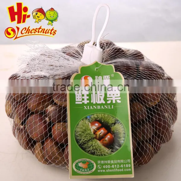 New Crop Fresh Chinese Chestnuts Wholesale Chestnut photo-5