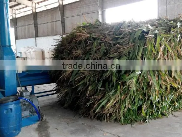 Corn Silage photo-6
