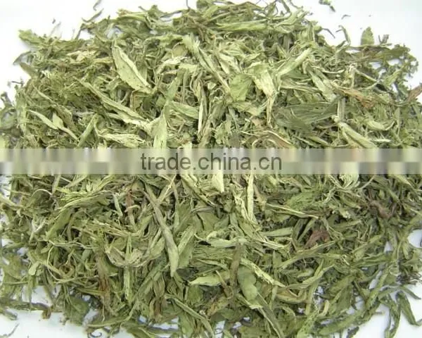 Stevia Leaves photo-3