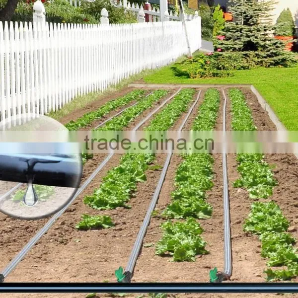 Linear Type Double Line Drip Tape for Drip Irrigation System photo-5