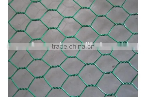 (30 Years Factory)Hexagonal Chicken Wire Mesh photo-2