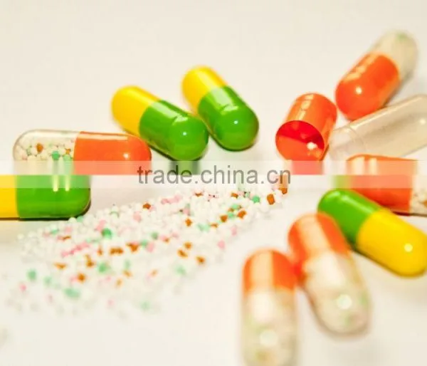 High Precision NJP-800c Fully Automatic Small Capsule Filler for Medicine Capsule photo-2