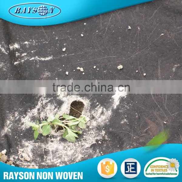 New Product Distributor Wanted Fabric Rolls Weed Control Agriculture Nonwovens photo-3