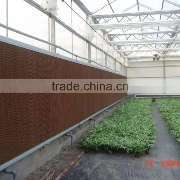 Modern Ventilation System Greenhouse With PC Sheet Covering photo-4