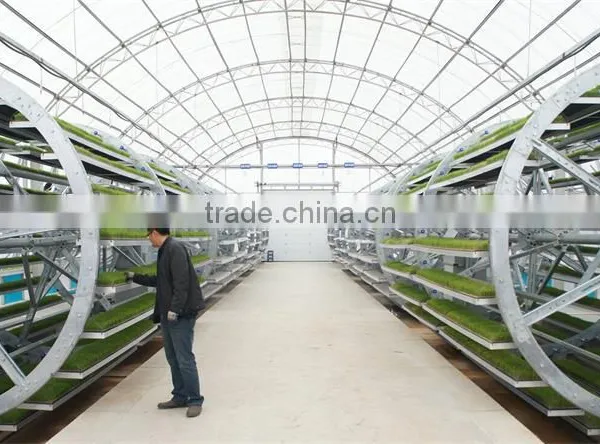 Factory Price Commercial Greenhouse Plastic photo-3