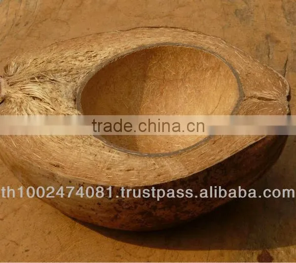 Natural Flower Vase