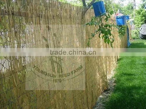 Reed Fence Screen for Gardening photo-3