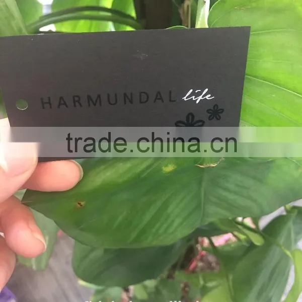 2017 China Hot Sale High Quality Black Cardboard Paper Jeans Hang Tags photo-4