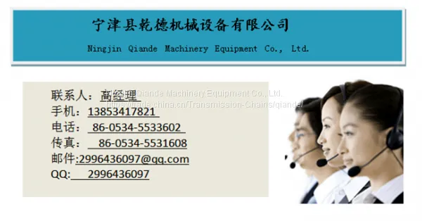 Non-standard Custom Made of Shandong Bending Plate Chain photo-5