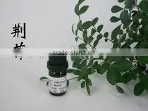 Best Selling Products Organic Seed for High Quality Nepeta Oil photo-3