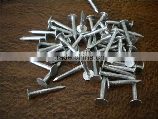 Galvanized Clout Nails Factory photo-2