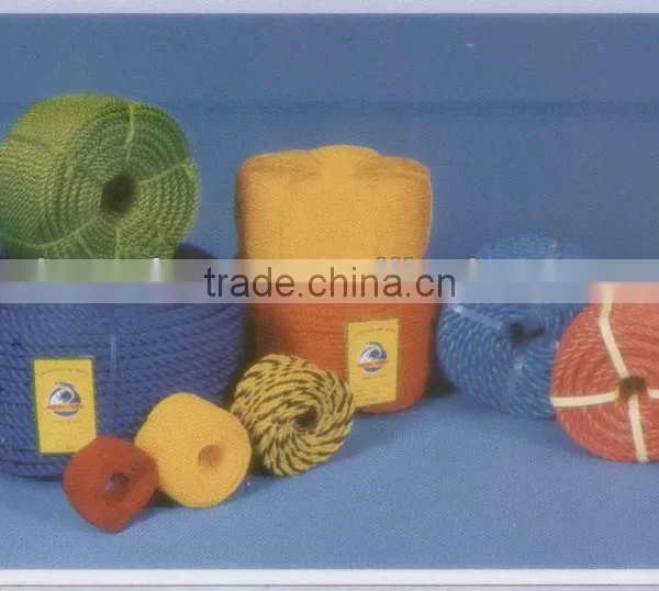 PE Twine Exported to Africa Market