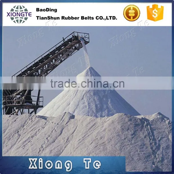 Ep200 Oil-Resistant Conveyor Belt / Rubber Belt