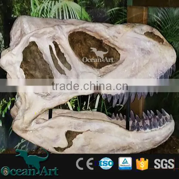 BY-DY-042101 High Quality Scientific Exhibition Life Size Dinosaur Skull photo-6
