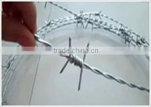 Price Razor Barbed Wire / Electrical Wire for Sale / Plastic Barbed Wire photo-6