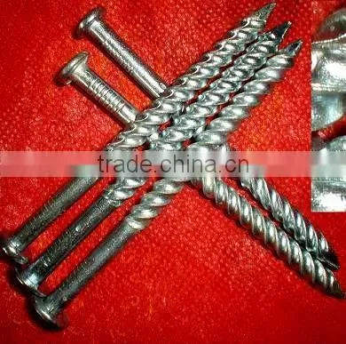 Ethiopia Market Good Quanlity Galvanized Twisted Nails photo-5