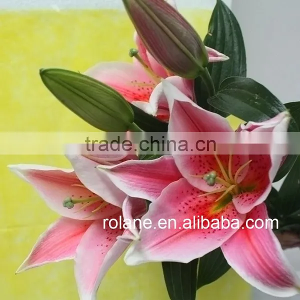 Preferential The Flower Lily For Church Wedding Decoration photo-3