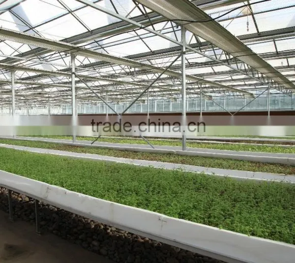 Commercial -Agricultural Polycarbonate Greenhouse