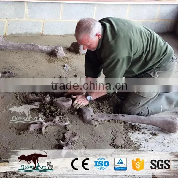 OA4075 High Quality Replica Dinosaur Fossils photo-4