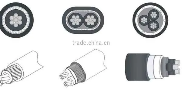 2x10mm2 8000 Series Aluminum Alloy Concentric Cable Flat Concentric Cable photo-6