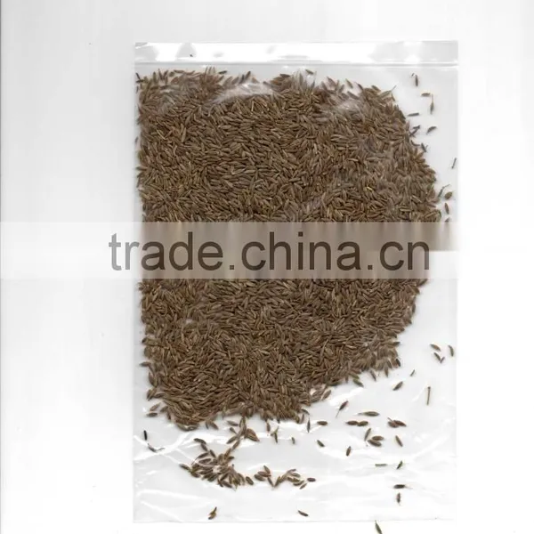 CUMIN SEEDS