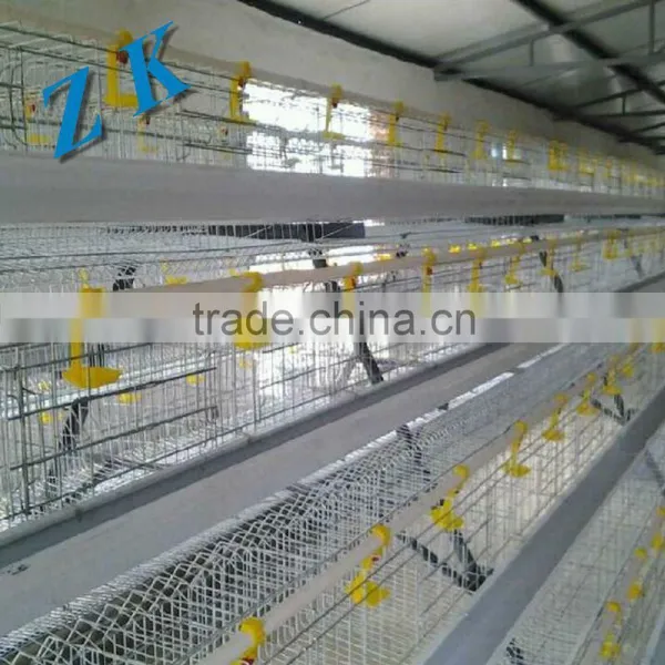 Chicken Cages Material HOt Dipped Galvanized Wire Q235 photo-2