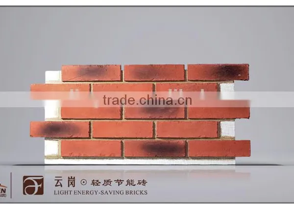Popular Wall Face Brick With Xps Inside photo-4