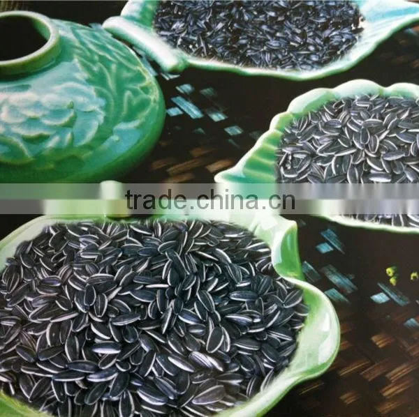 Sunflower Seed